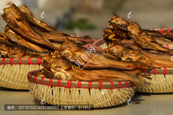 翹嘴魚