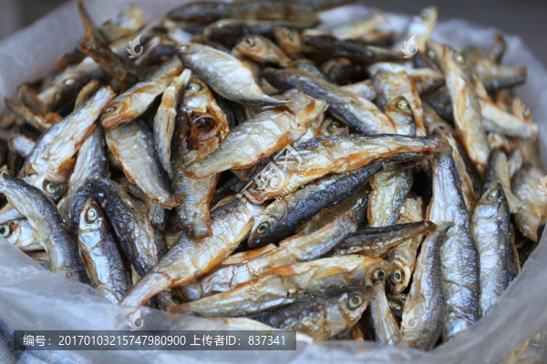 干魚