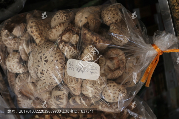 干菇類