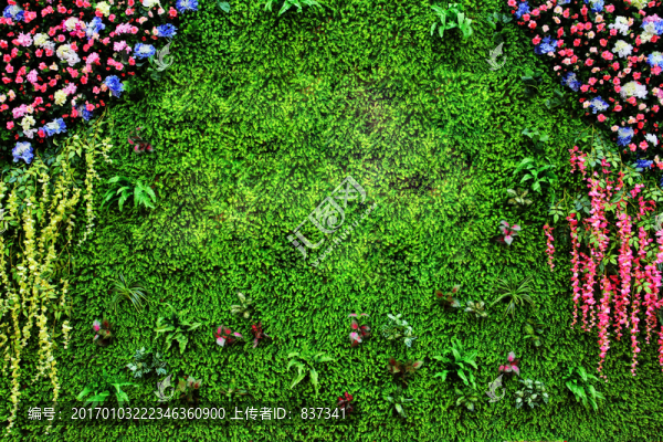 綠色假植物背景墻
