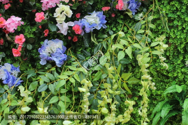 綠色假植物背景墻