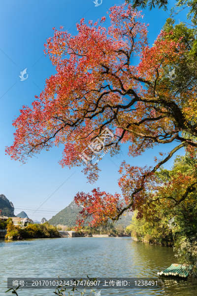 秋灑桃花江