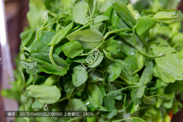 涮火鍋,青菜