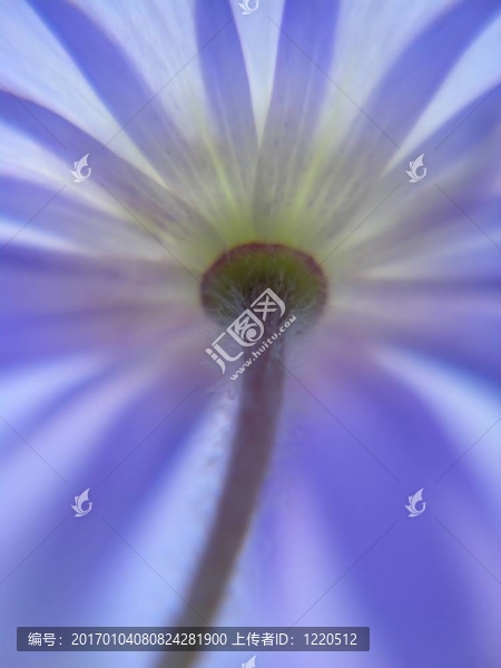 夢幻般的藍(lán)色的?？? title=
