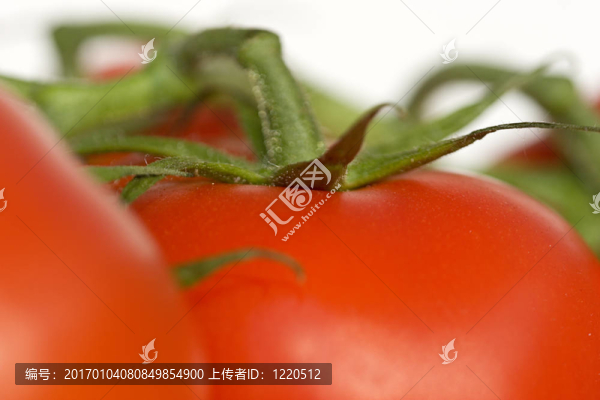 西紅柿