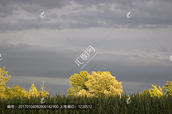暴風雨的天氣
