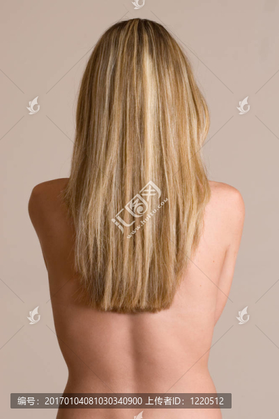 cdtorso,2