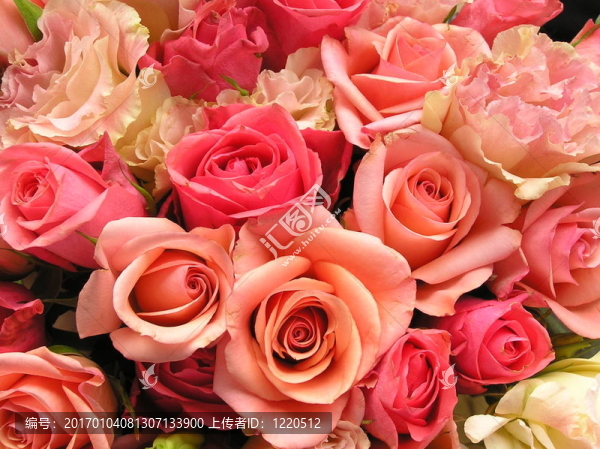 浪漫的花束-匯圖網(wǎng) www.fosd68.com 浪漫的花束