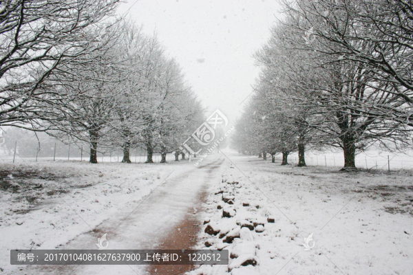 被雪覆蓋的道路通向地平線