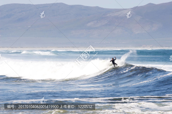 Surfer,6