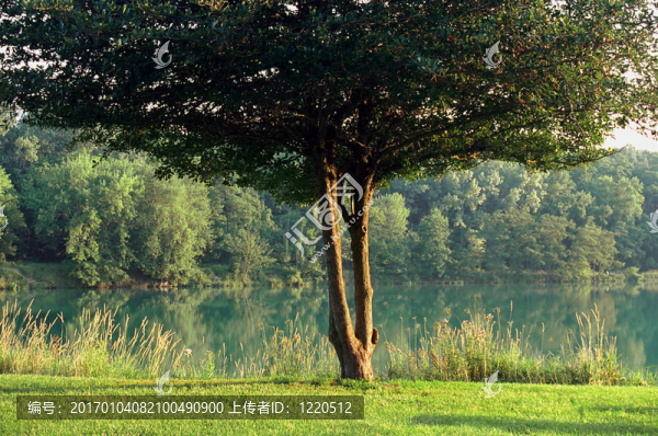 夏天的時間