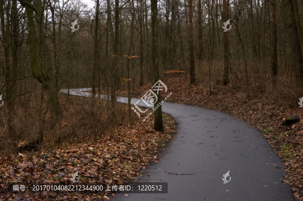 自行車道。