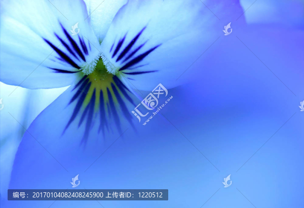 一種藍(lán)