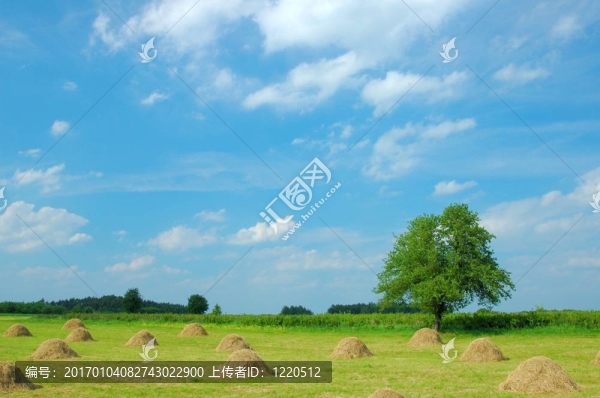 夏天的風(fēng)景