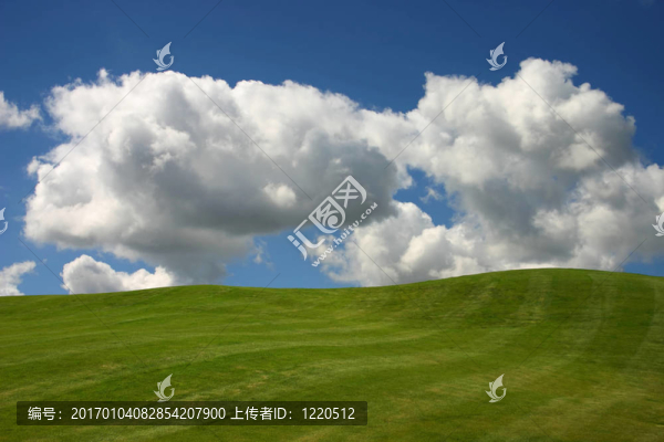 高爾夫球場