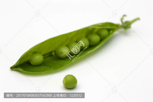 走出莢
