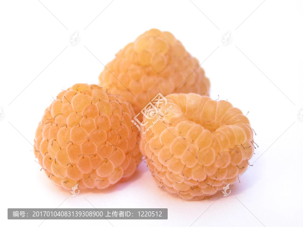 覆盆子