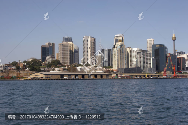 悉尼的城市天際線