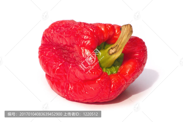 枯萎的辣椒