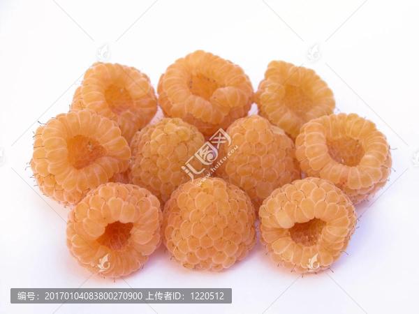 覆盆子