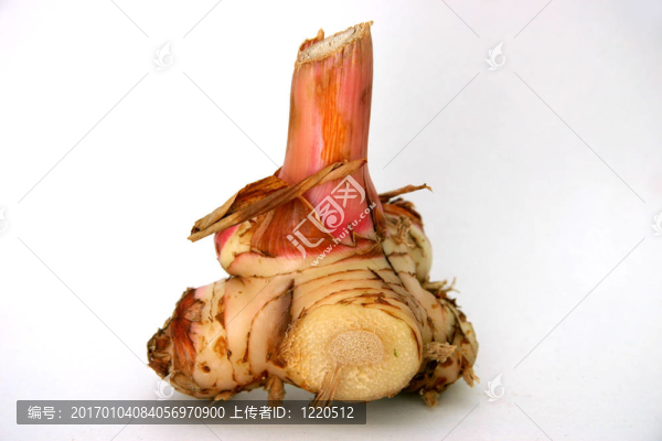 高良姜