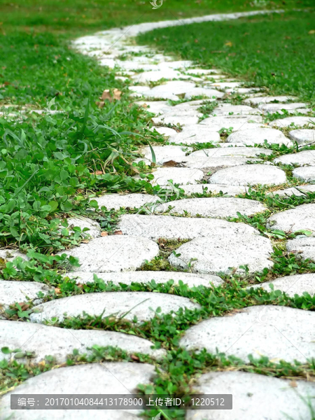 花園路徑