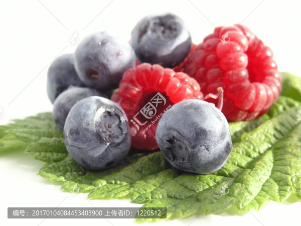 Bilberry和Raspber