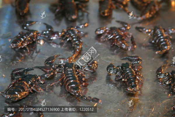 油炸蝎子