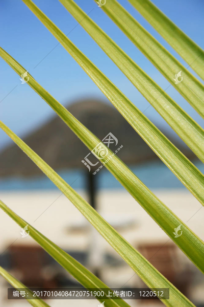 隱藏的海灘