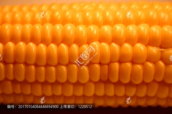 玉米