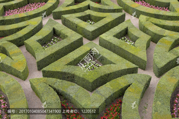 正式的花園