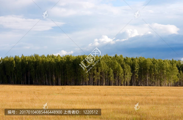 夏天的風(fēng)景