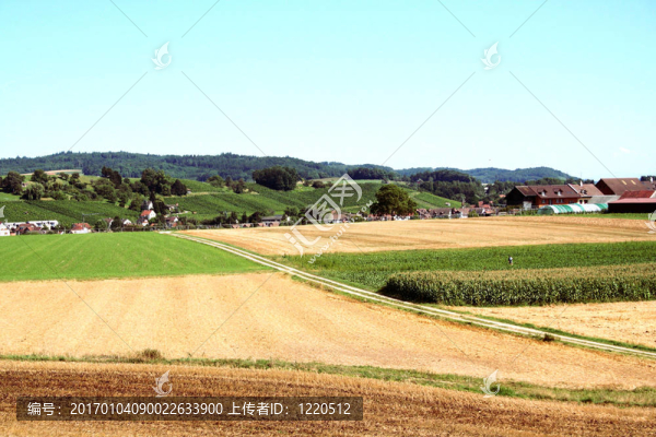 農(nóng)業(yè)土地