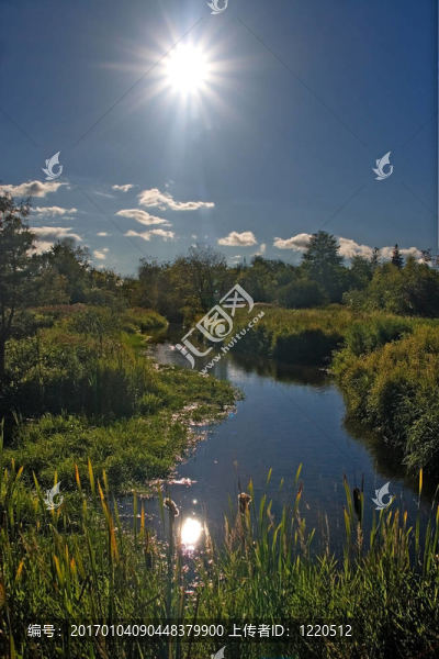 大自然中的小河流-匯圖網(wǎng) www.fosd68.com 大自然中的小河流
