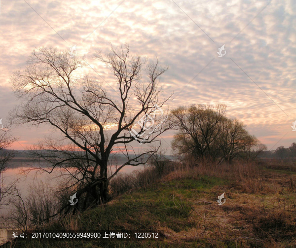 四月的早晨