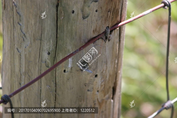 籬笆樁