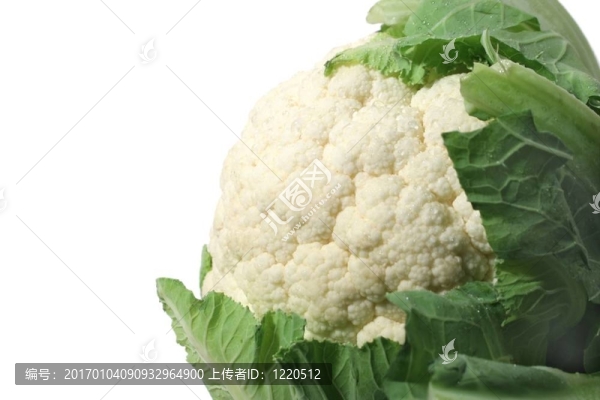 菜花