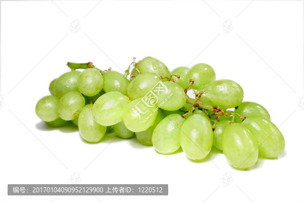 葡萄