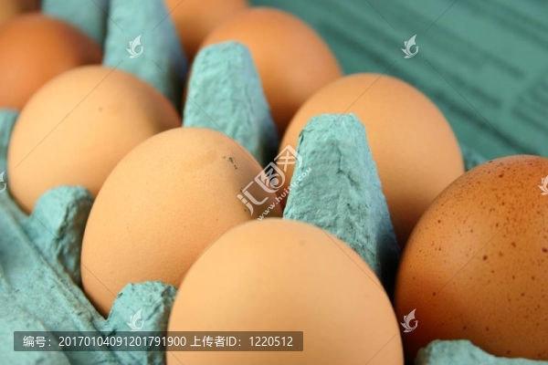 雞蛋的紙箱