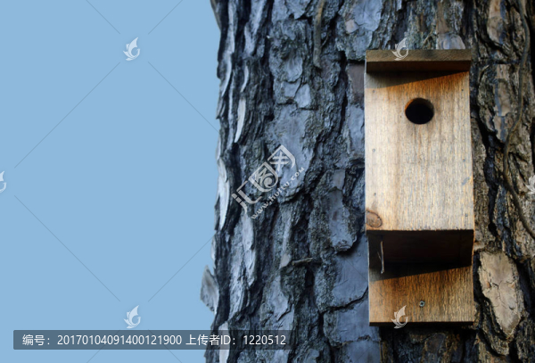 鳥舍