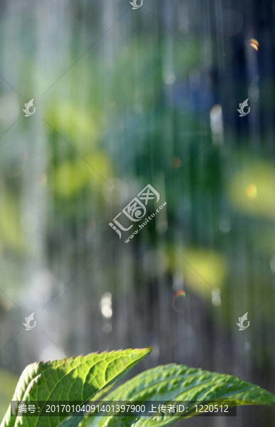 rain1