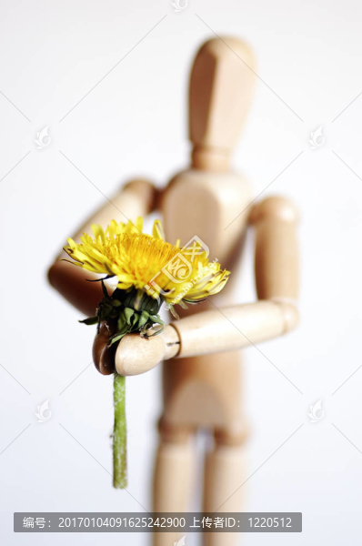 假人和Flower