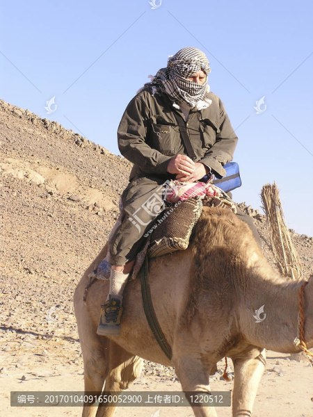 騎駱駝3歲的祖父旅游；Sahara；埃及；非洲
