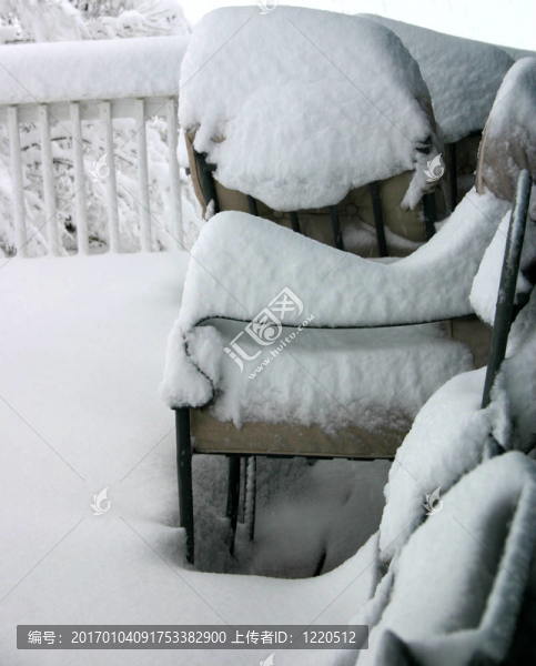 沁園雪