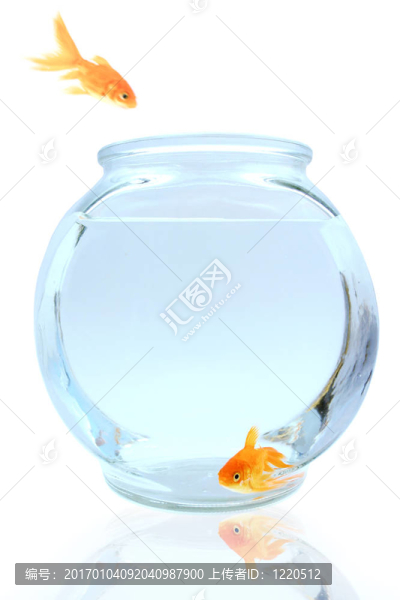 來(lái)吧！