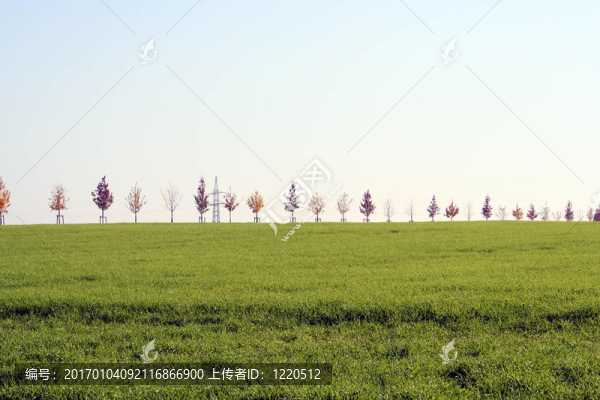 樹(shù)木的生長(zhǎng)。
