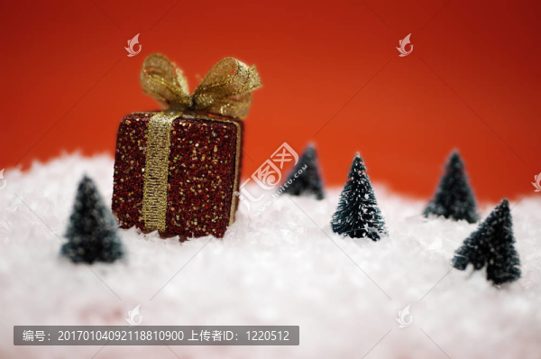 圣誕節(jié)場景