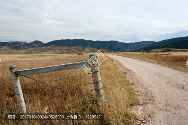 圍墻及道路