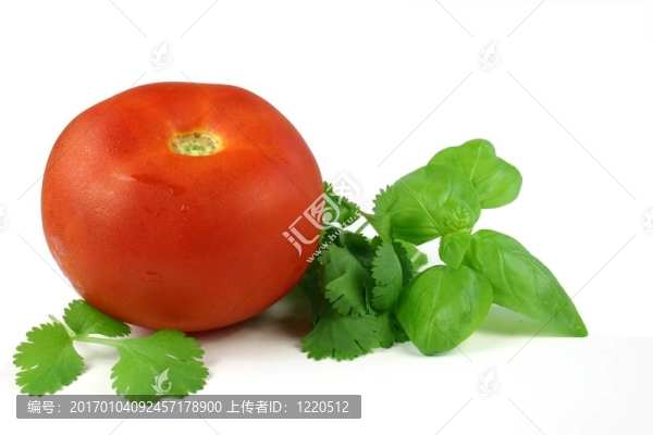 番茄和香草