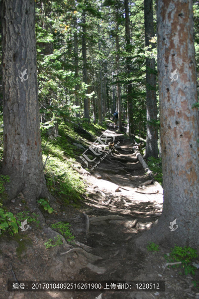 登山步道